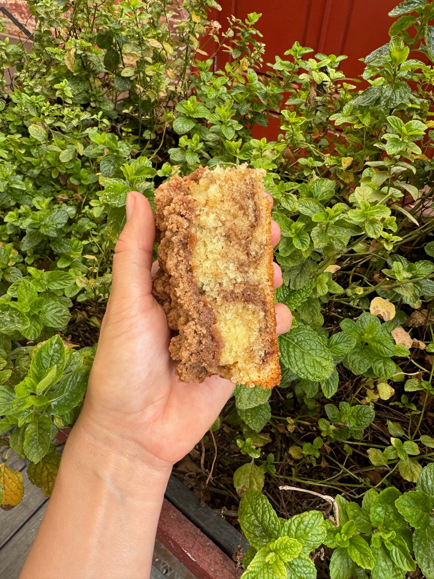 Streusel Crumb Coffee Cake